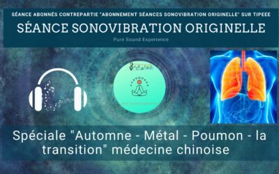 07/08/2024 Séance SonoVibration Originelle spéciale “Automne – Métal – Poumon – la transition” au niveau Multidimensionnel