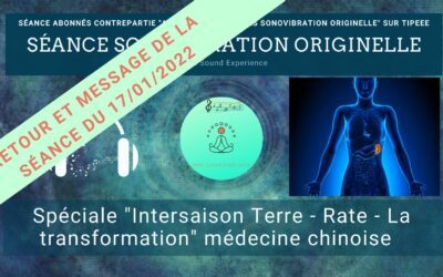 Retour et message reçu lors de la séance SonoVibration Originelle spéciale « Intersaison – Terre – Rate – la transformation » médecine chinoise