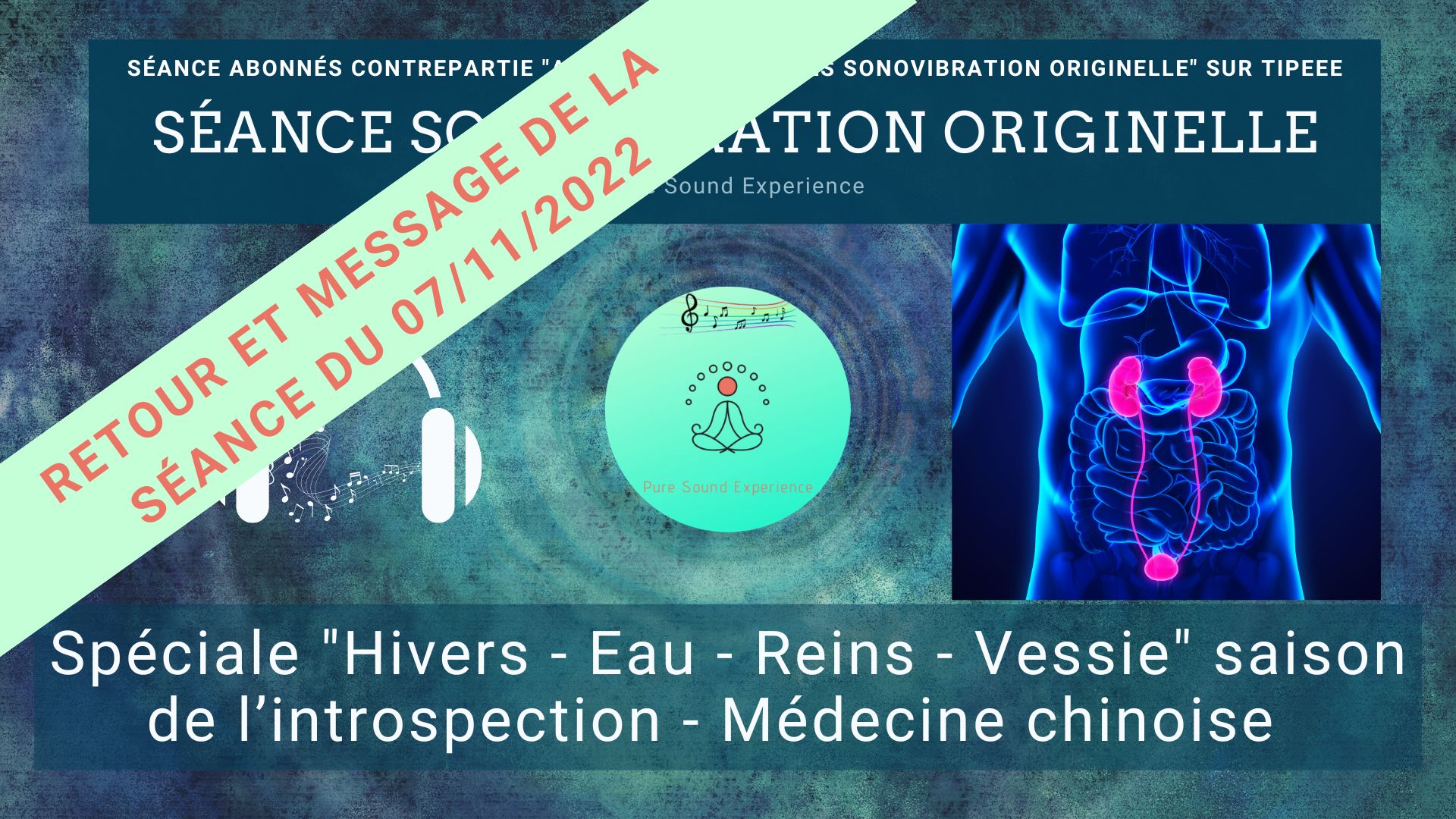 Retour-Reins-Seance-07-11