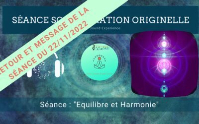 Retour et message reçu lors de la séance SonoVibration Originelle spéciale « Equilibre et Harmonie » du 22/11/2022