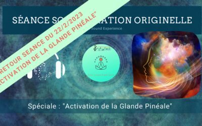 Retour et message reçu lors de la séance spéciale « Activation de la Glande Pinéale » du 22/2