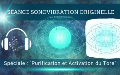 29/09/2023 Séance SonoVibration Originelle spéciale « Purification et Activation du Tore énergétique »