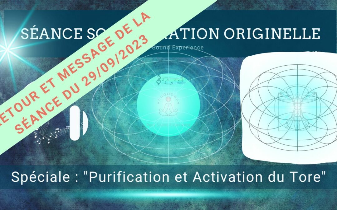 Retour et message reçu lors de la séance SonoVibration Originelle spéciale « Purification et Activation du Tore énergétique » du 29/09/2023