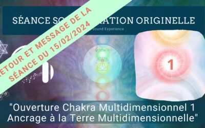 Retour et message reçu lors de la séance SonoVibration Originelle spéciale “Ouverture Chakra Multidimensionnel 1 – Ancrage à la Terre Multidimensionnelle” du 15/02/2024