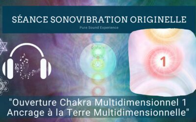 15/02/2024 Séance SonoVibration Originelle spéciale “Ouverture Chakra Multidimensionnel 1 – Ancrage à la Terre Multidimensionnelle”