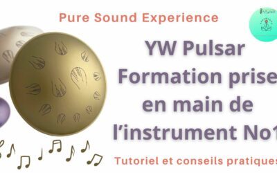 Formation prise en main et philosophie du jeu YW Pulsar No1