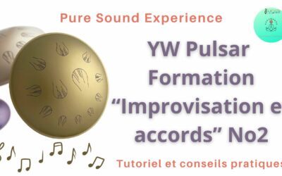 22/05/2024 Formation « Improvisation et accords » YW Pulsar No2