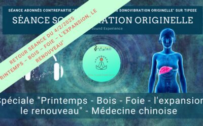 Retour et message reçu lors de la séance SonoVibration Originelle spéciale “Printemps – Bois – Foie”