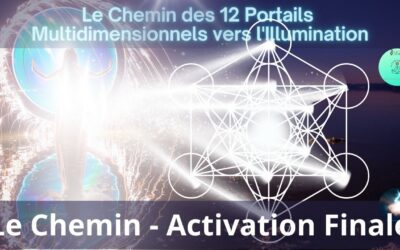 01/05/2025 Séance SonoVibration Originelle spéciale “L’activation finale des 12 portails”