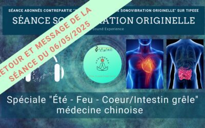 Retour et message reçu lors de la séance SonoVibration Originelle spéciale “Coeur/Intestin grêle” du 06/05