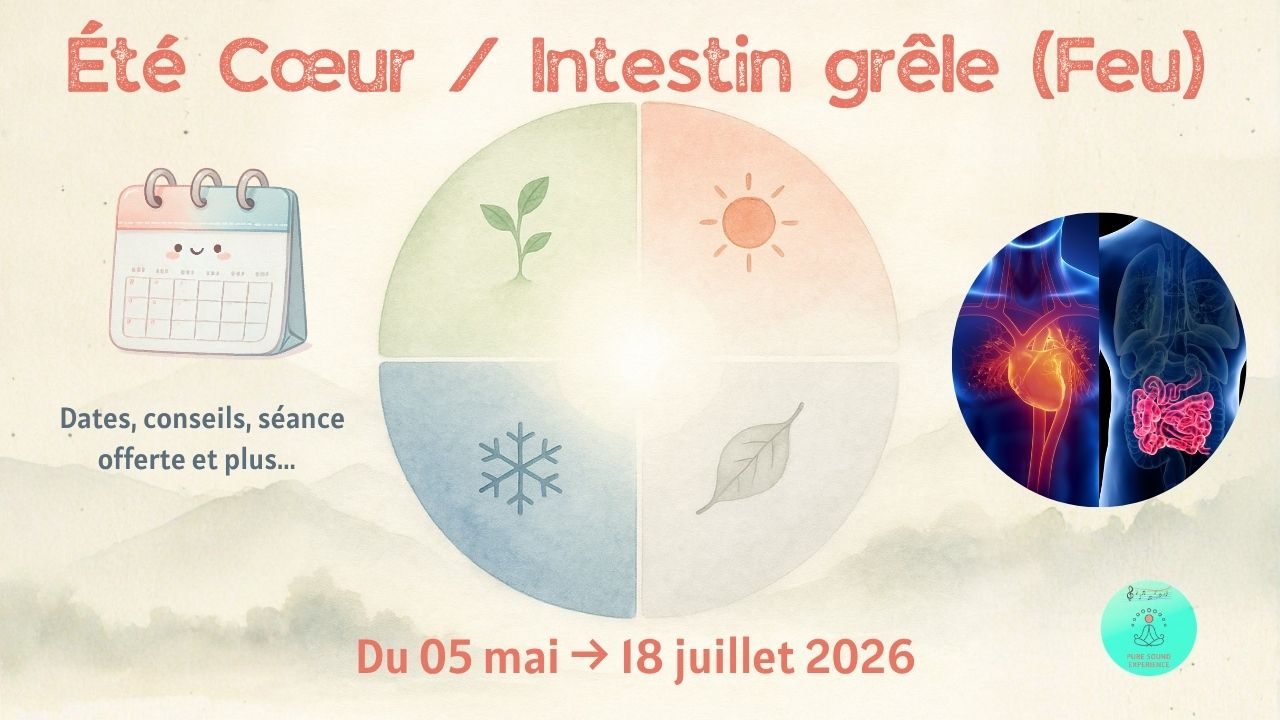 Saison du Cœur / Intestin grêle (Feu) 5 mai → 18 juillet