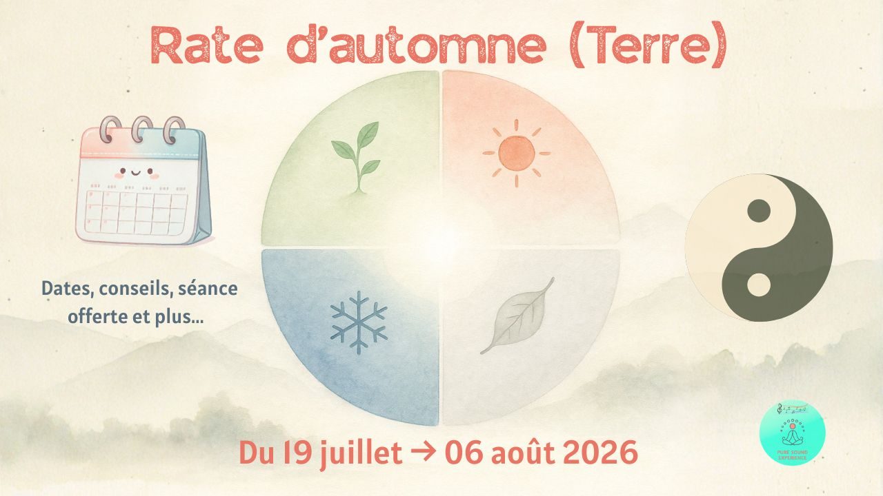 Rate d'automne en médecine chinoise - énergie Terre