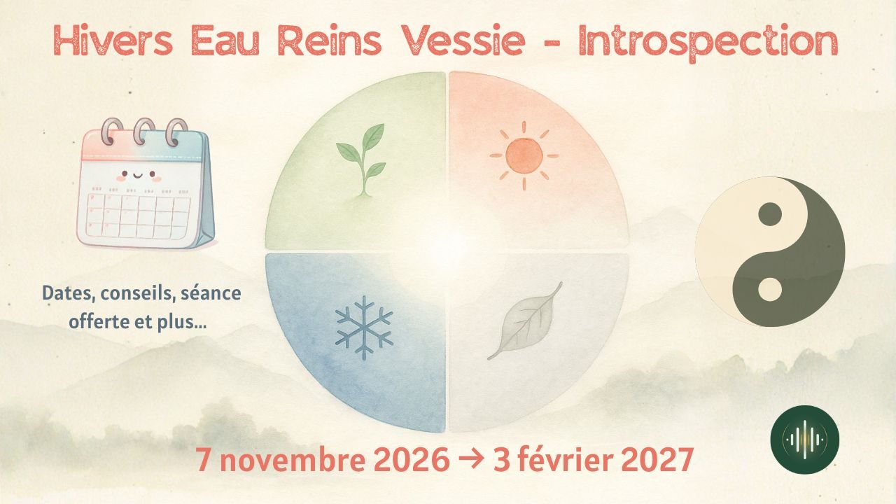 Hiver en médecine chinoise – Eau, Reins et Vessie – 7 novembre 2026 au 3 février 2027